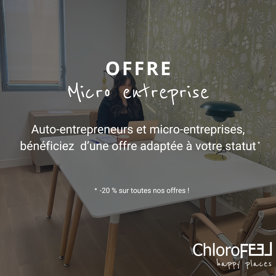 Micro-entreprise